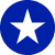 A black star in the middle of a blue circle.